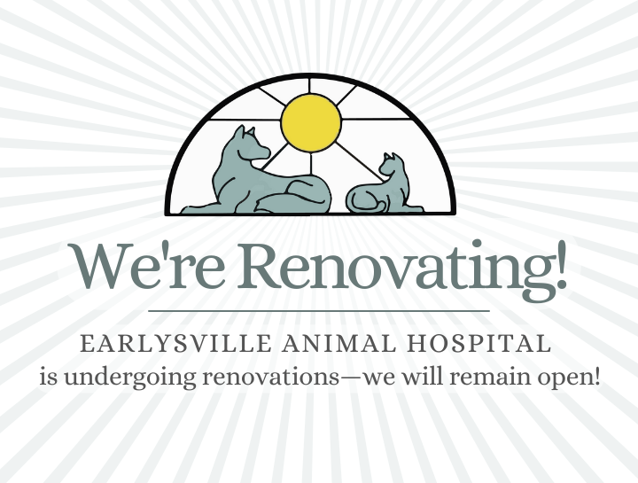 We're Renovating!