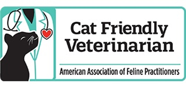 Cat Friendly Veterinarian